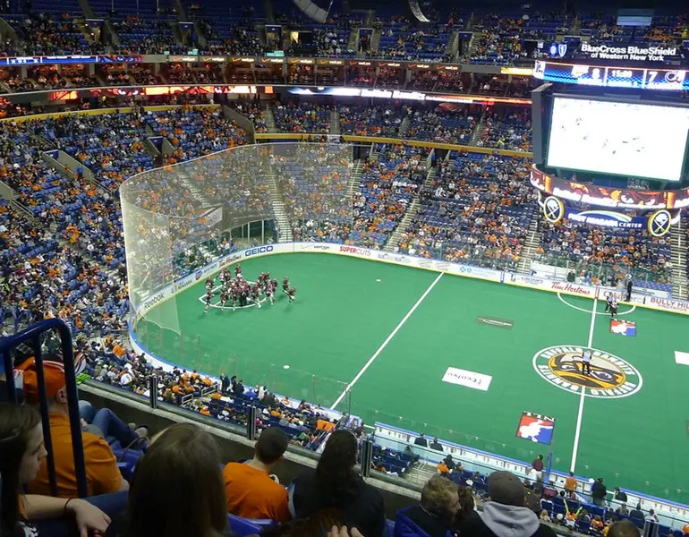 Colorado Mammoth